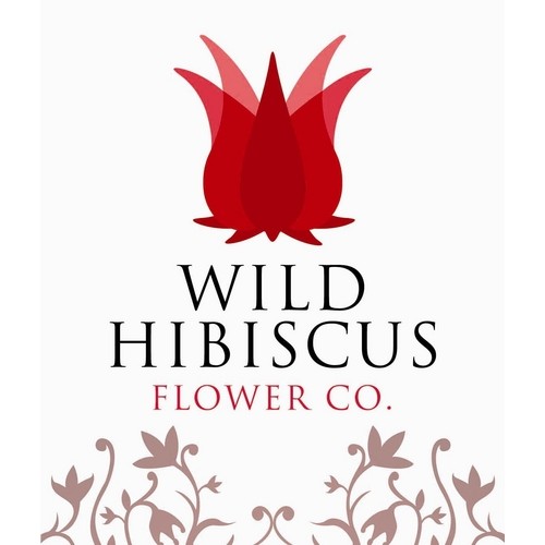 Wild Hibiscus